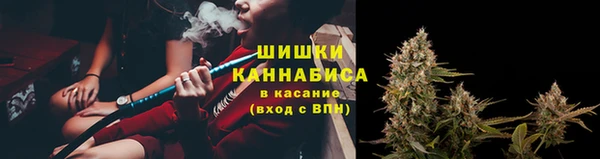 ГАЛЛЮЦИНОГЕННЫЕ ГРИБЫ Алексеевка