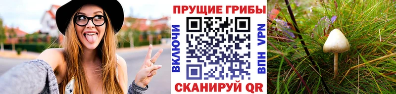 Галлюциногенные грибы ЛСД  где купить наркотик  Анива 